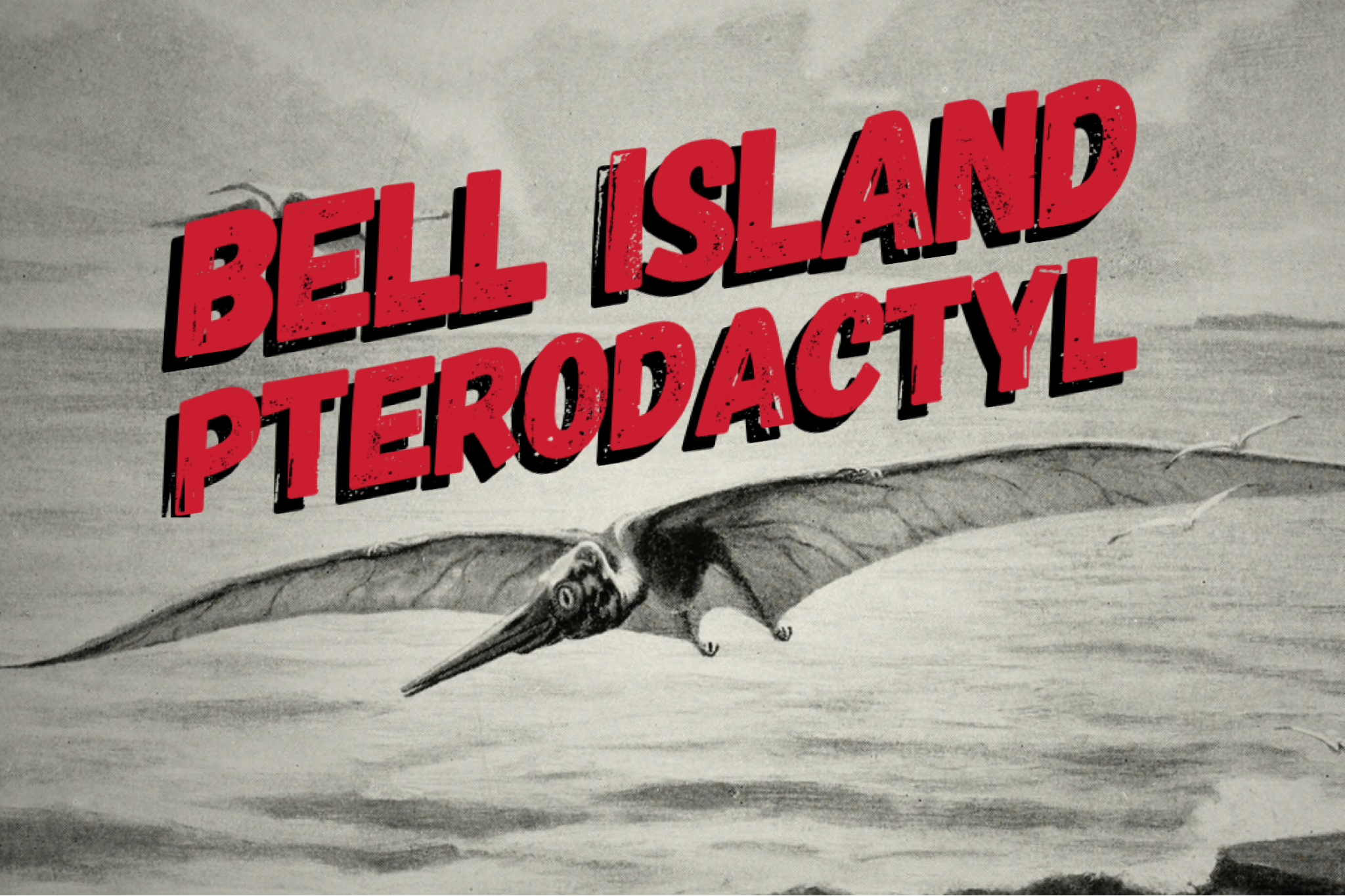 The Bell Island Pterodactyl