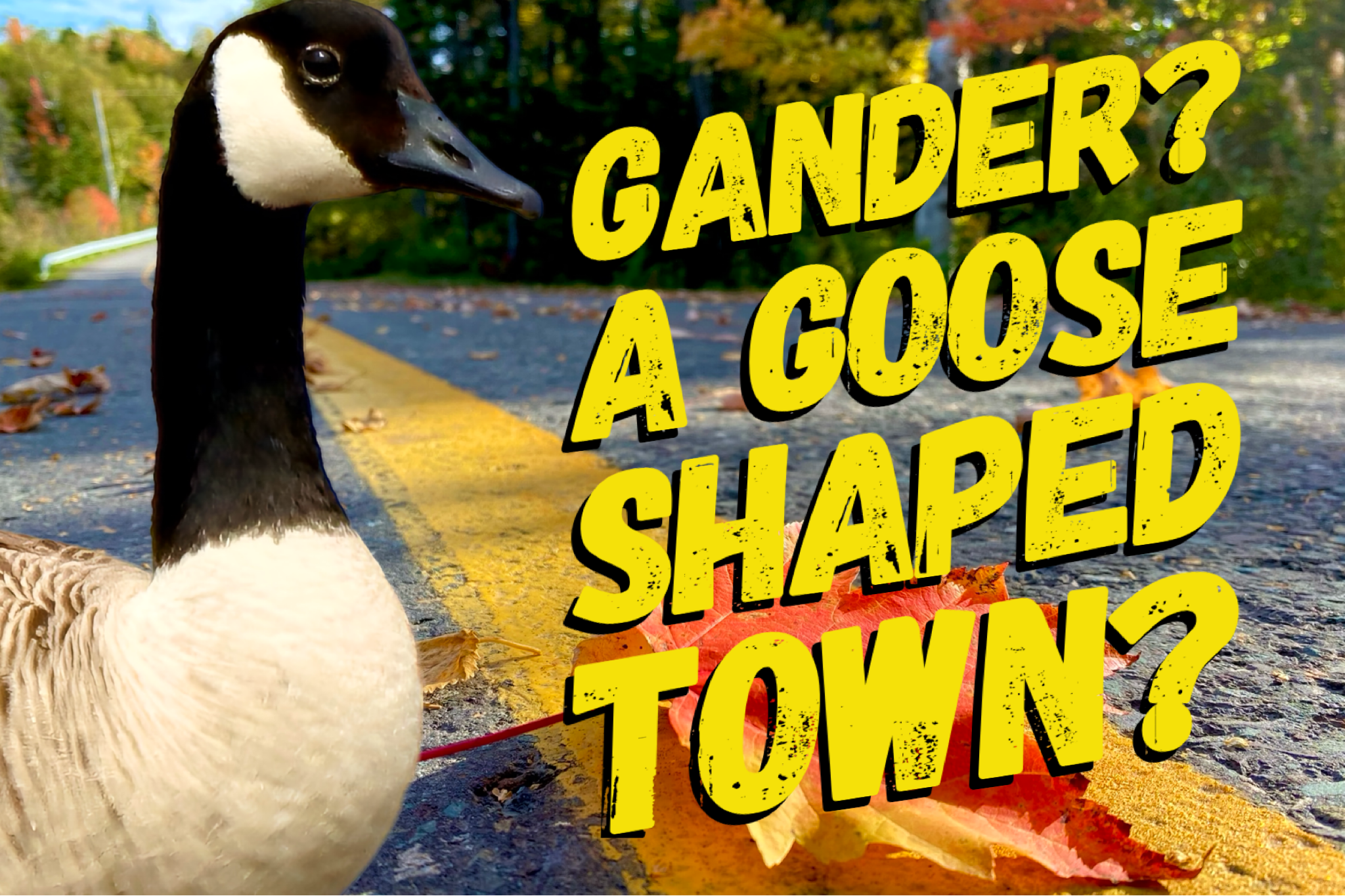 The Goose-Shaped Town: Is Gander Really a Gander? 