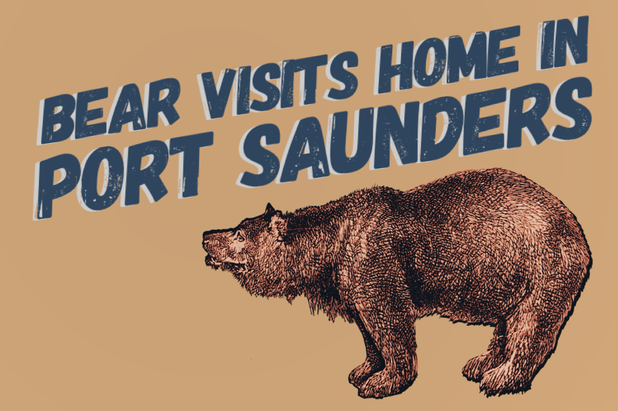 Bear Visits Home in Port Saunders
