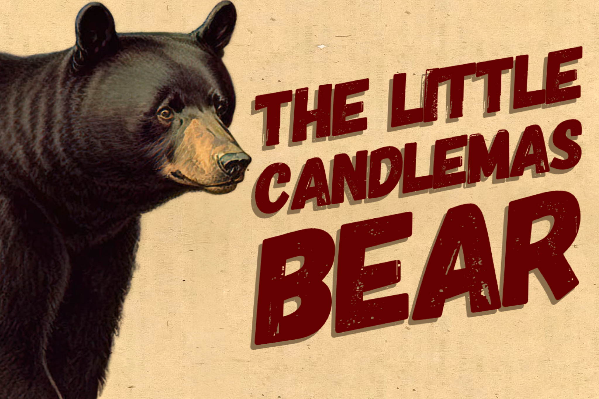 The Little Candlemas Bear