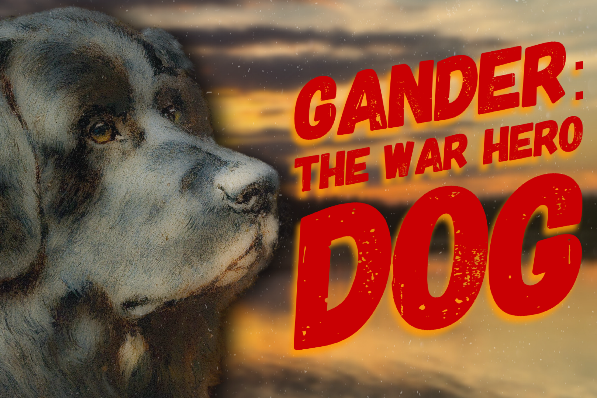 Gander, The War Hero Dog