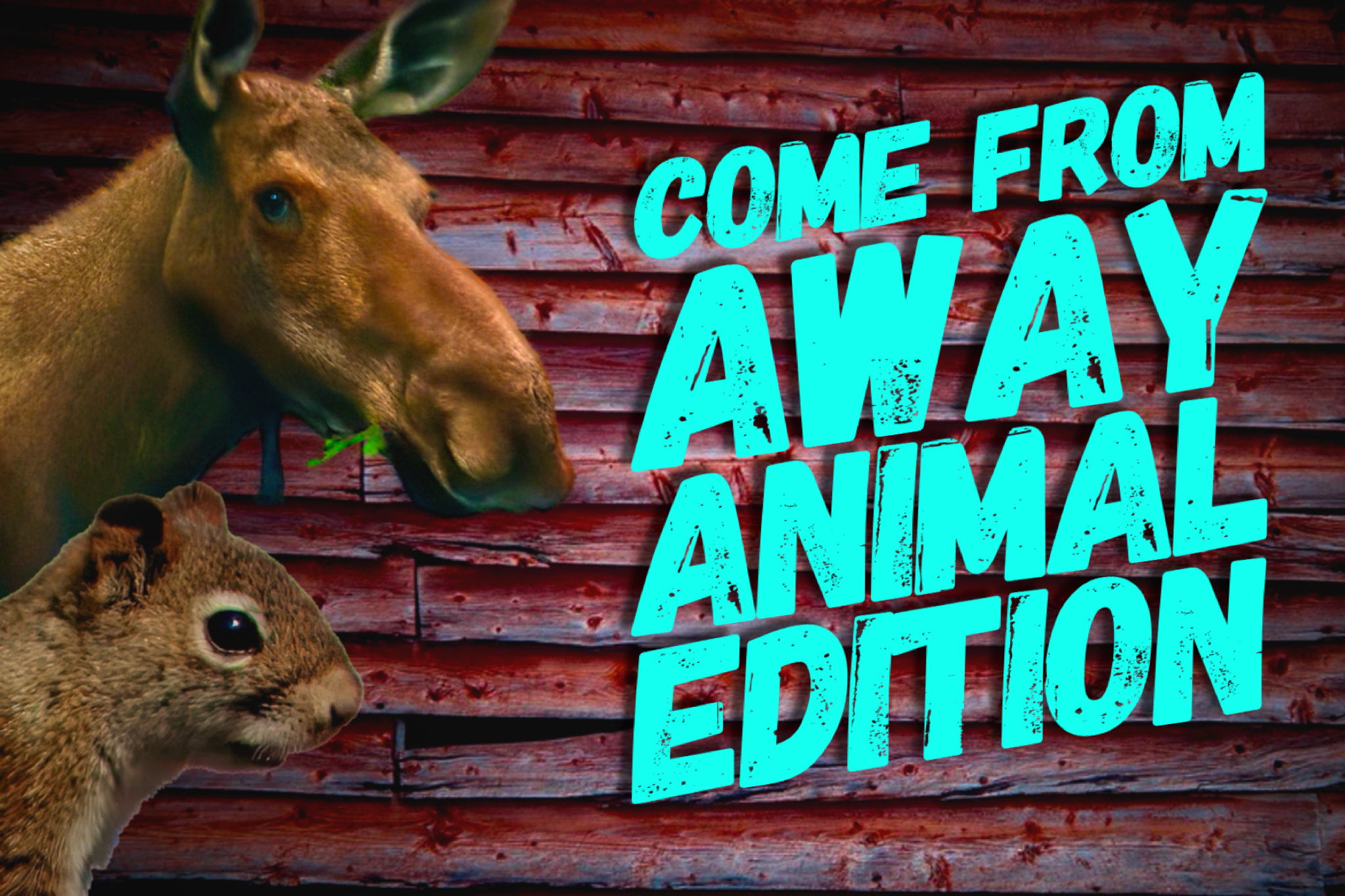 Come From Aways: Newfoundland’s Invited Animals