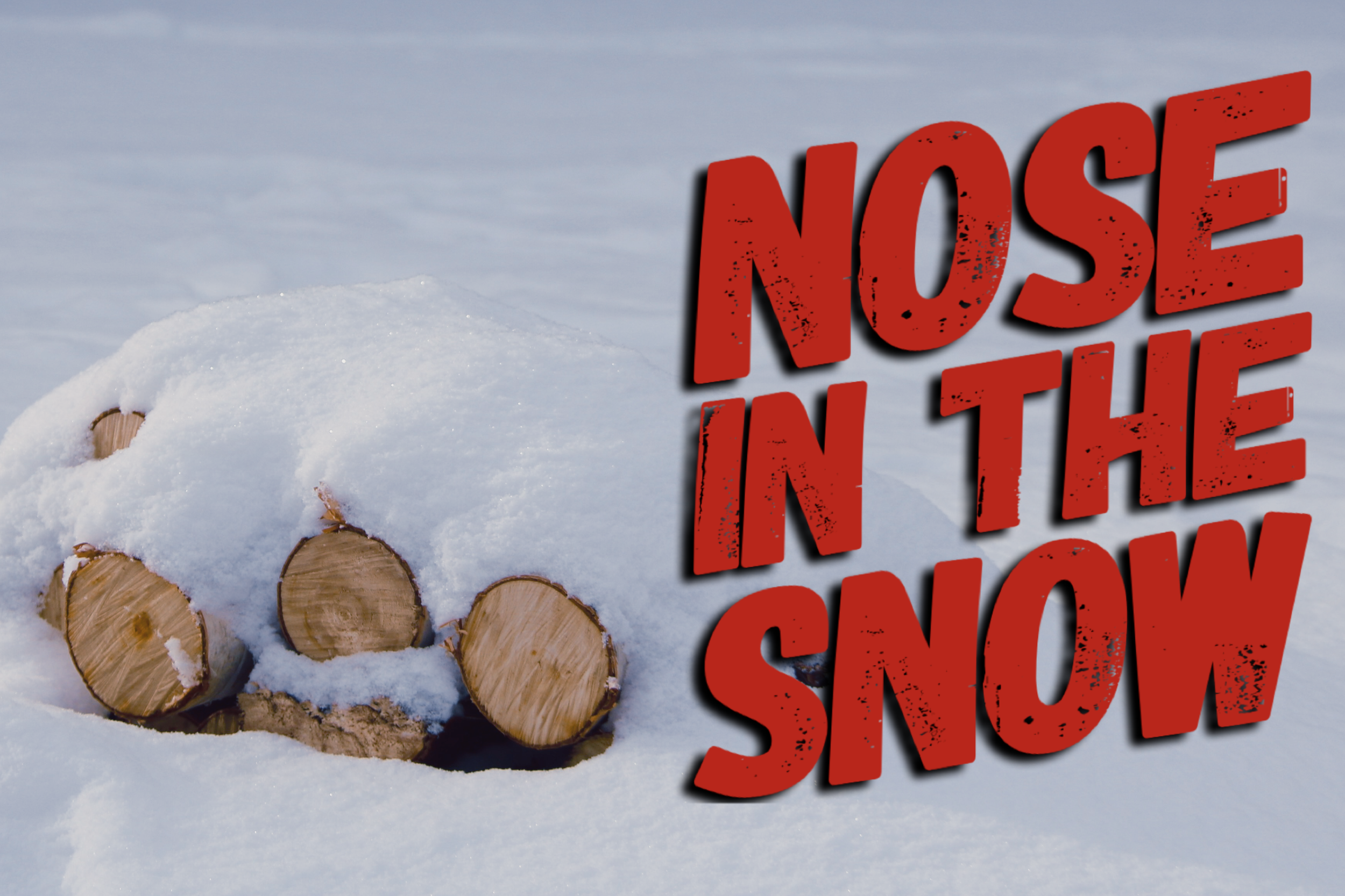 The Nose in the Snow