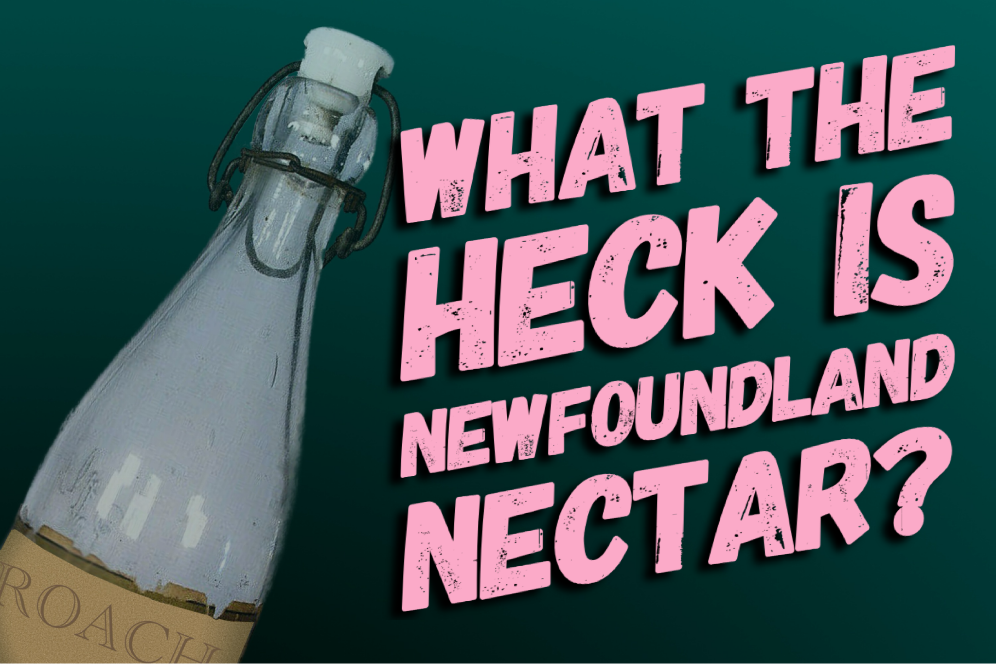 What the Heck is Newfoundland Nectar?