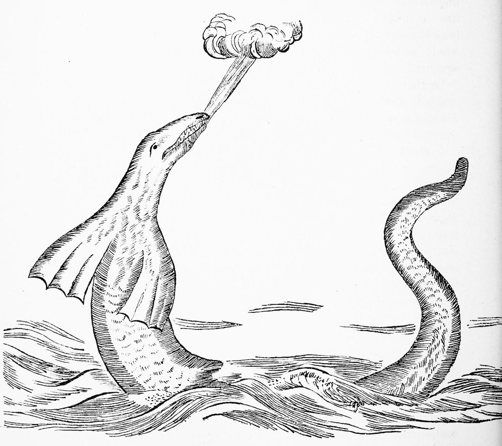 Sea Serpents and Lake Monsters of Newfoundland — Product of Newfoundland