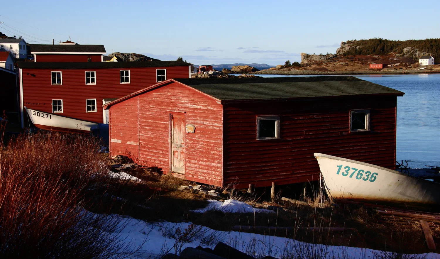Newfoundland Photo Gallery — Product of Newfoundland