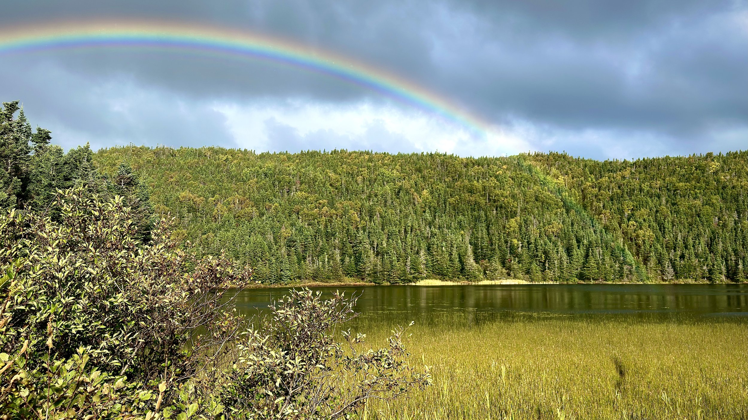 rainbow over an evergreen hill in New World Island, Newfoundland and Labrador