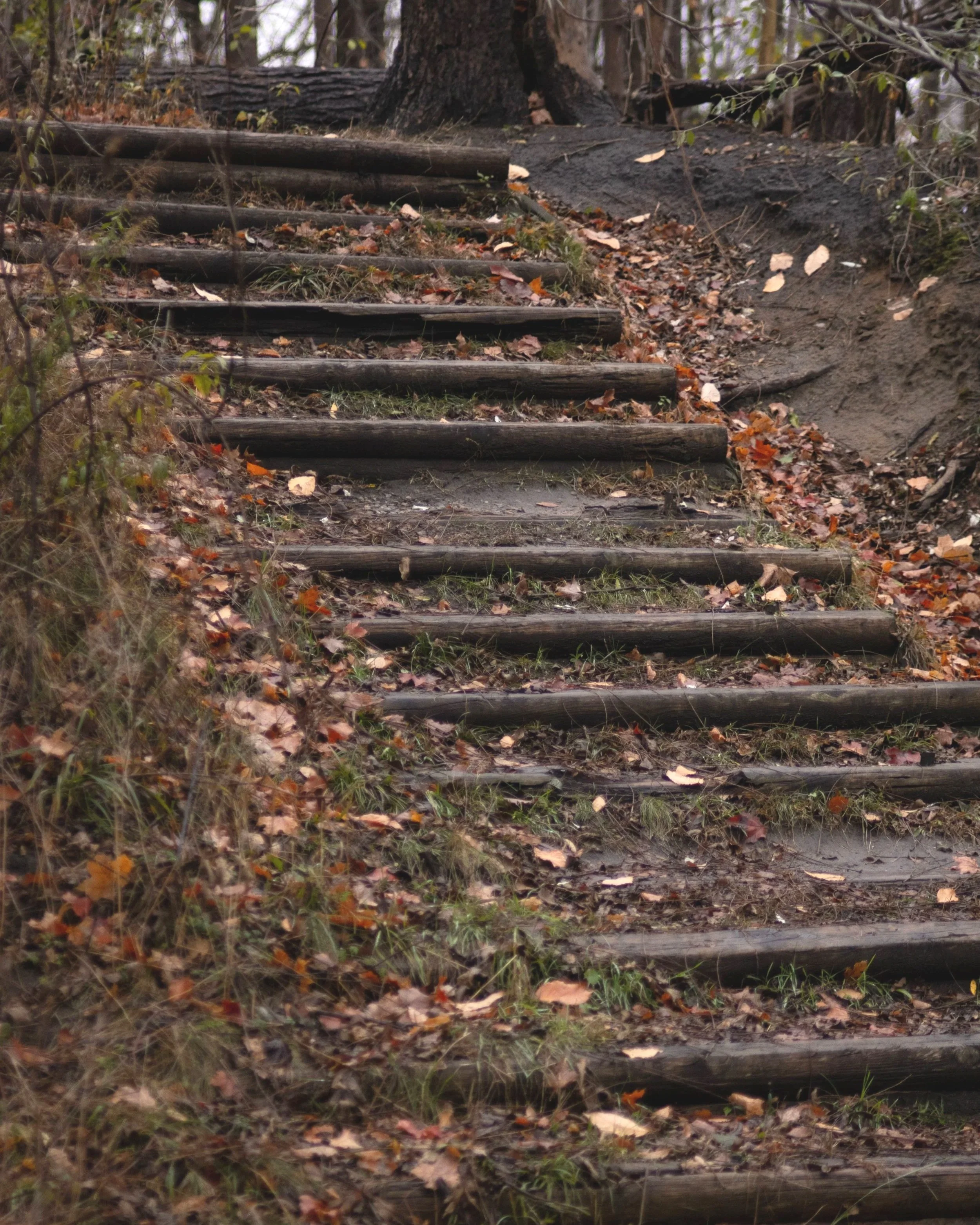 When the Steps Don’t Make It Easier
