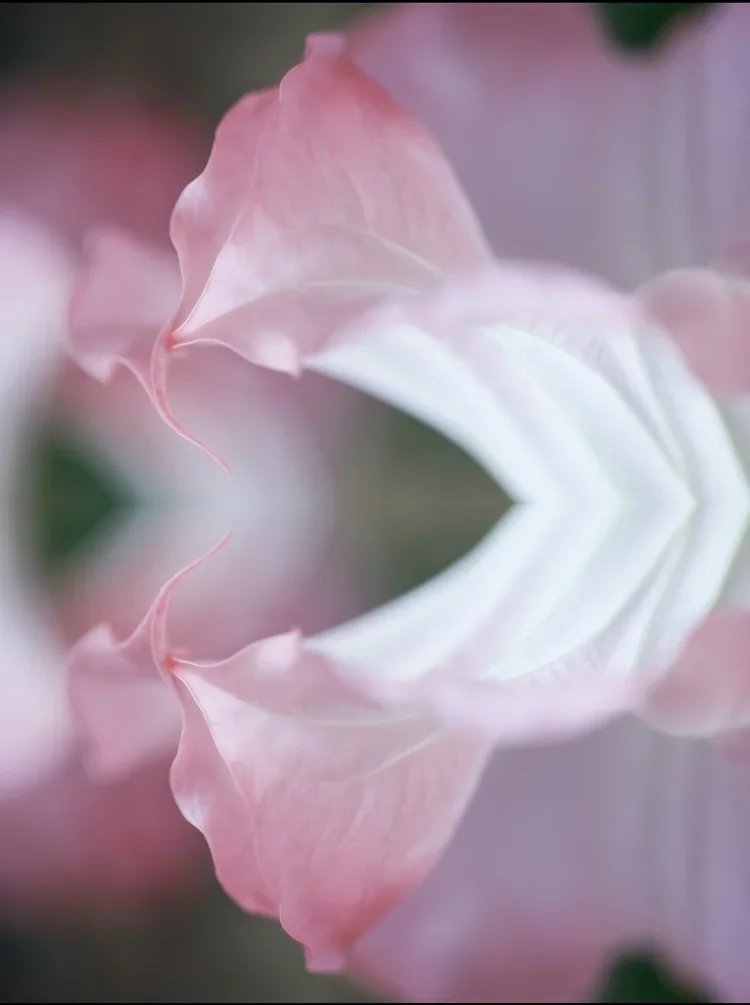 Poesía de Javier Lancelle