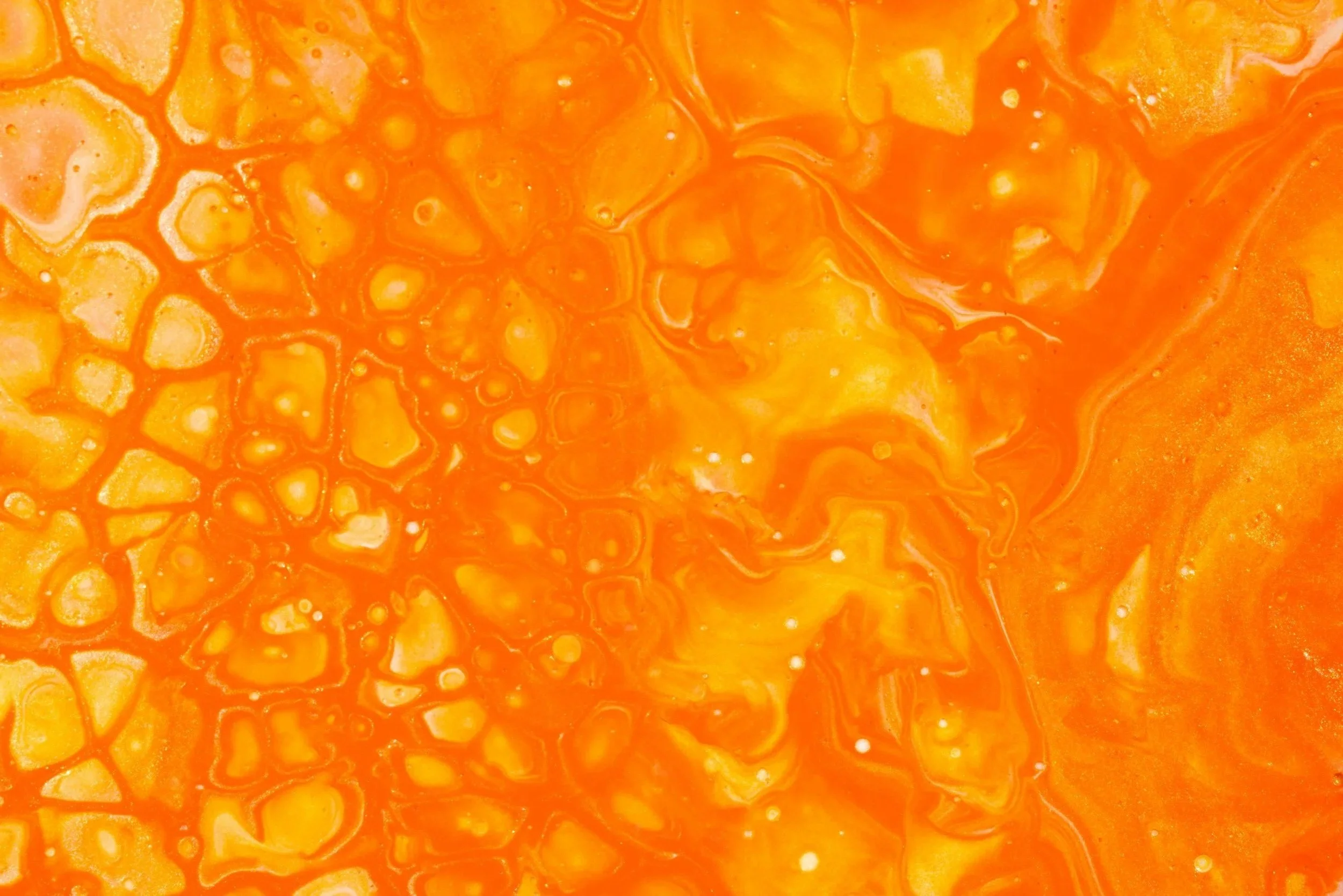 Melificación humana