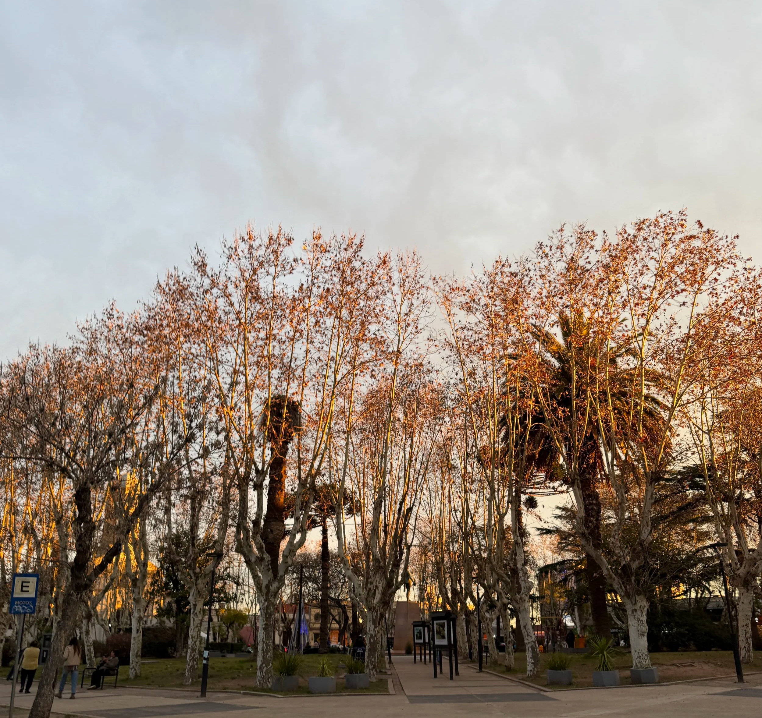 Rendición de Pando