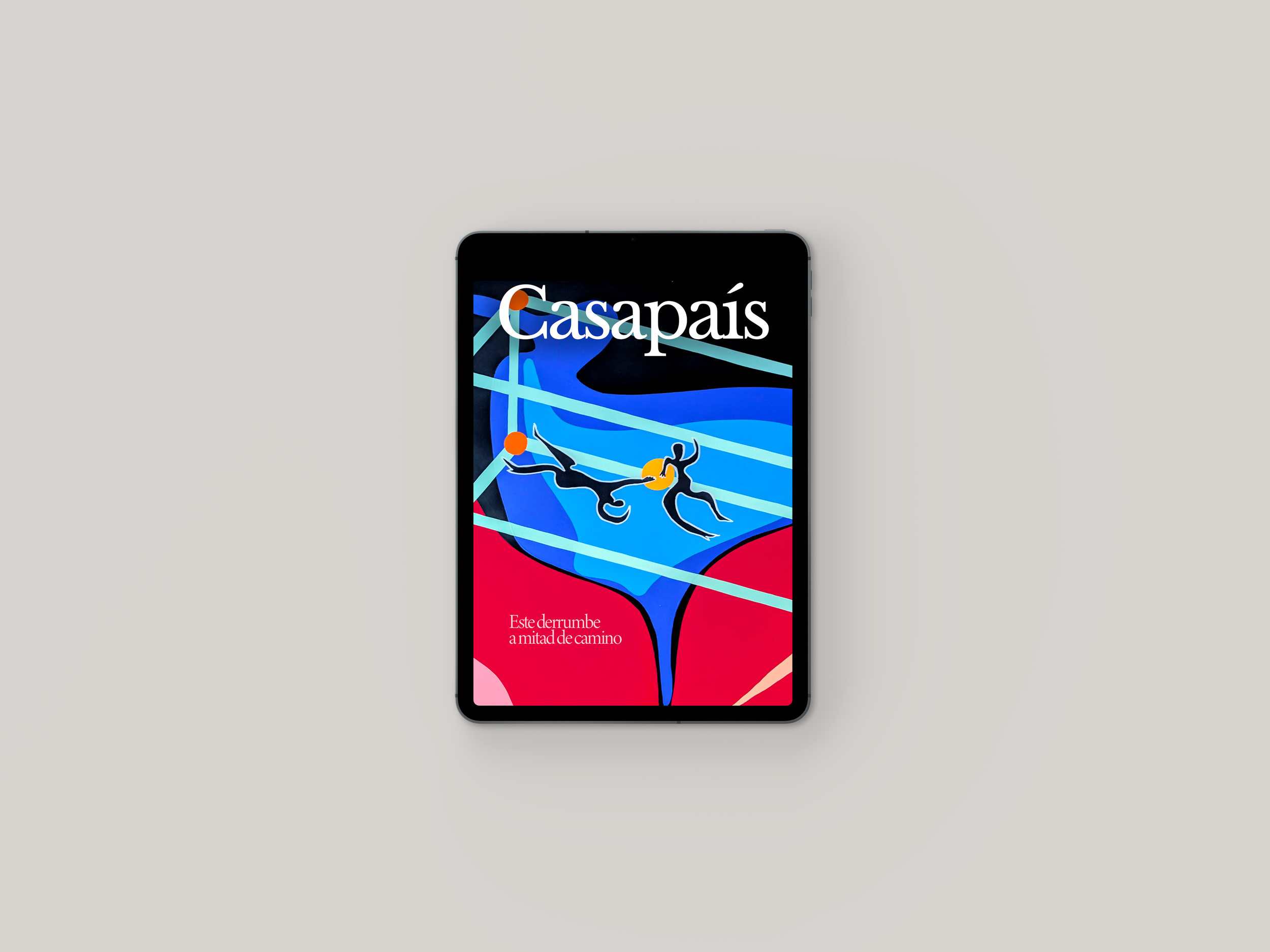 iPad18.png