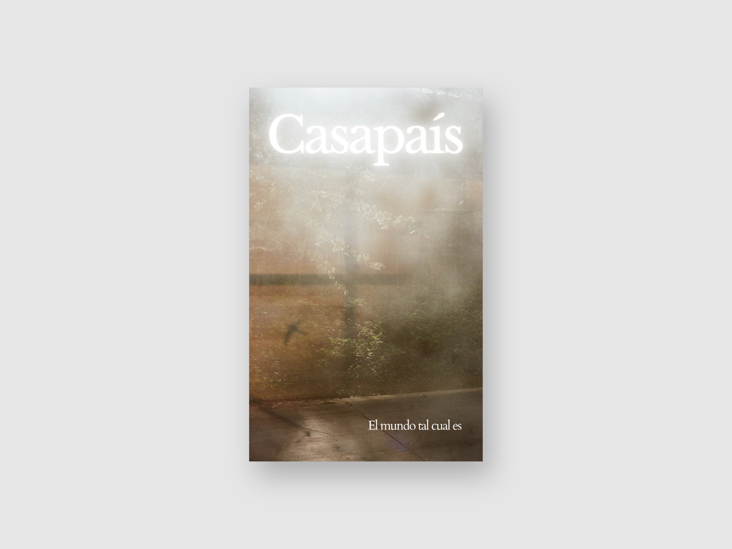 PREVENTA: Casapaís - El mundo tal cual es (Edición impresa)