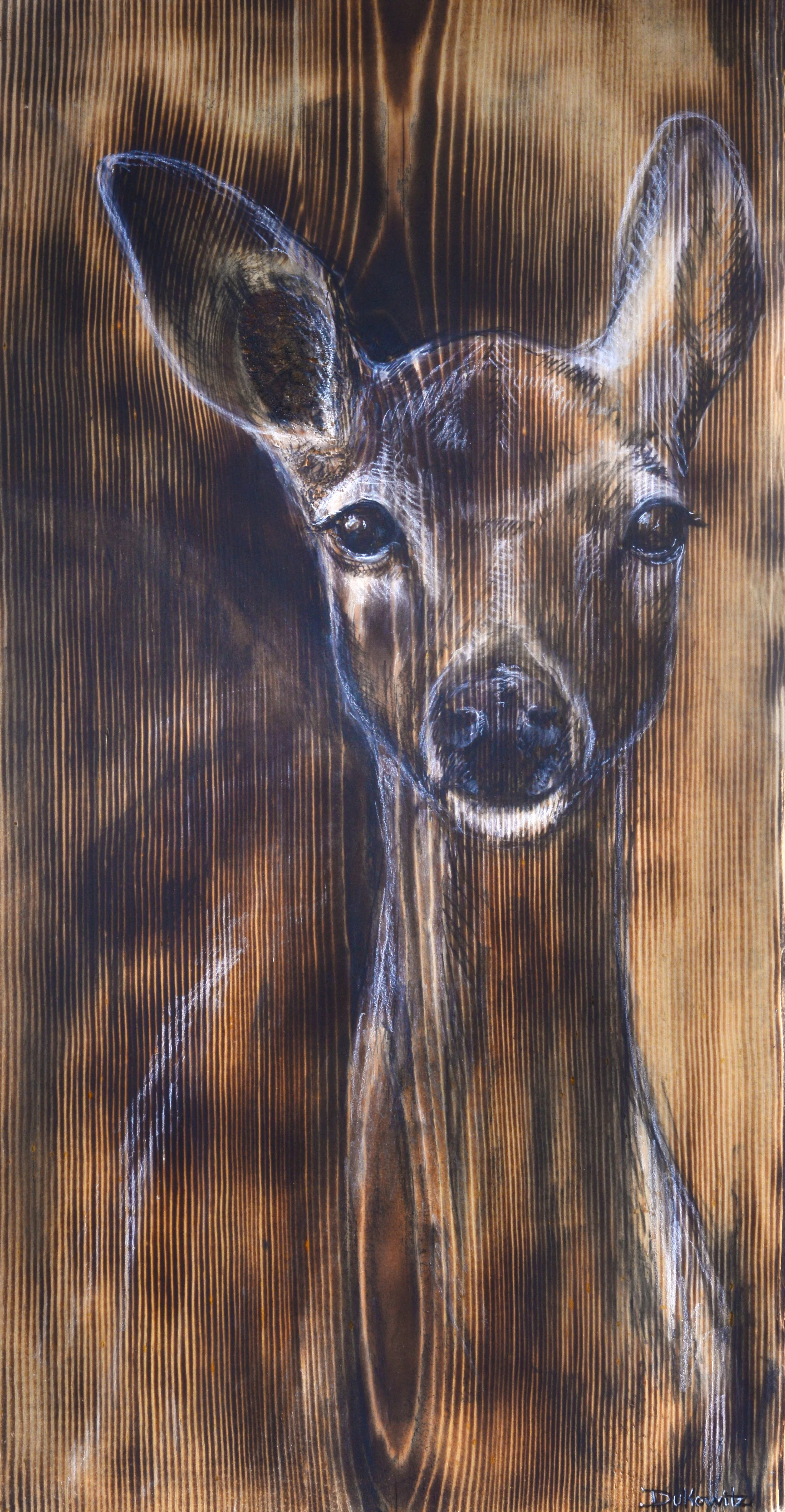 Doe portrait.jpg