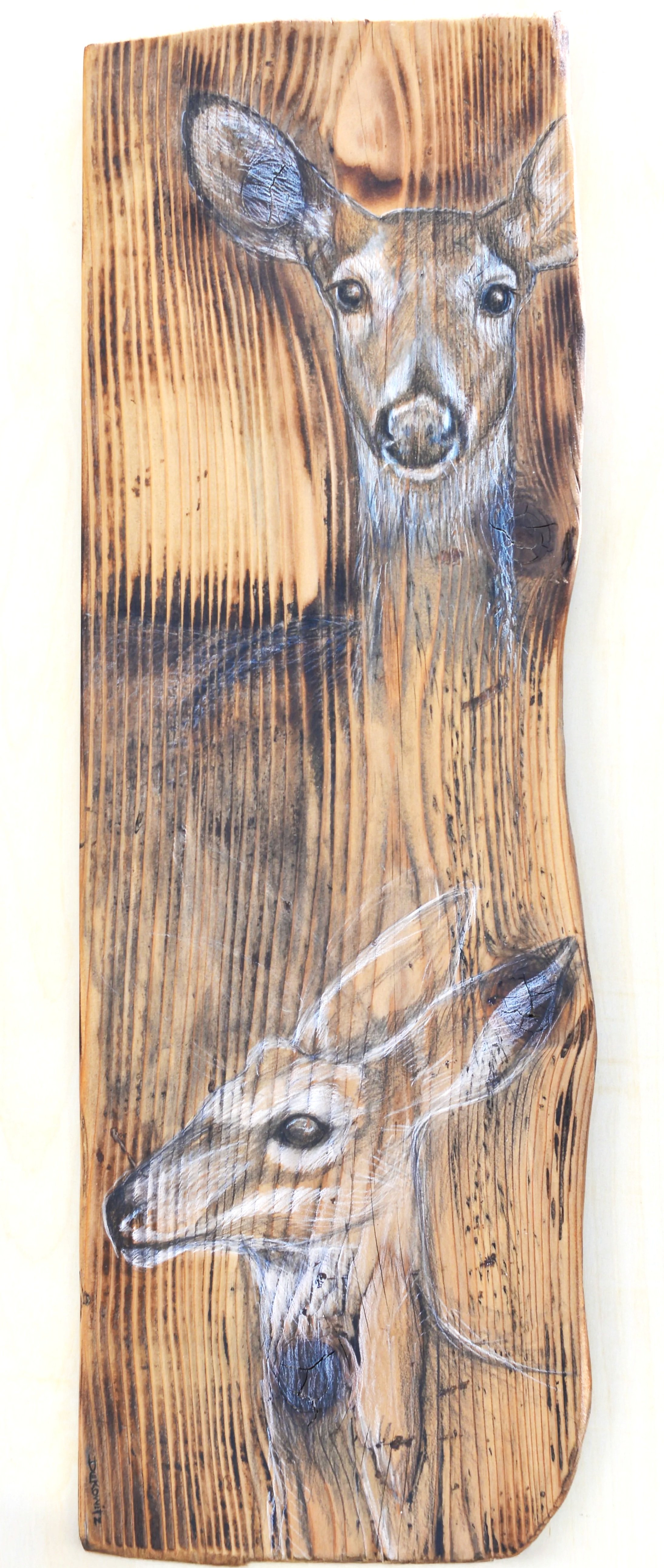 Fawning Mother on cedar