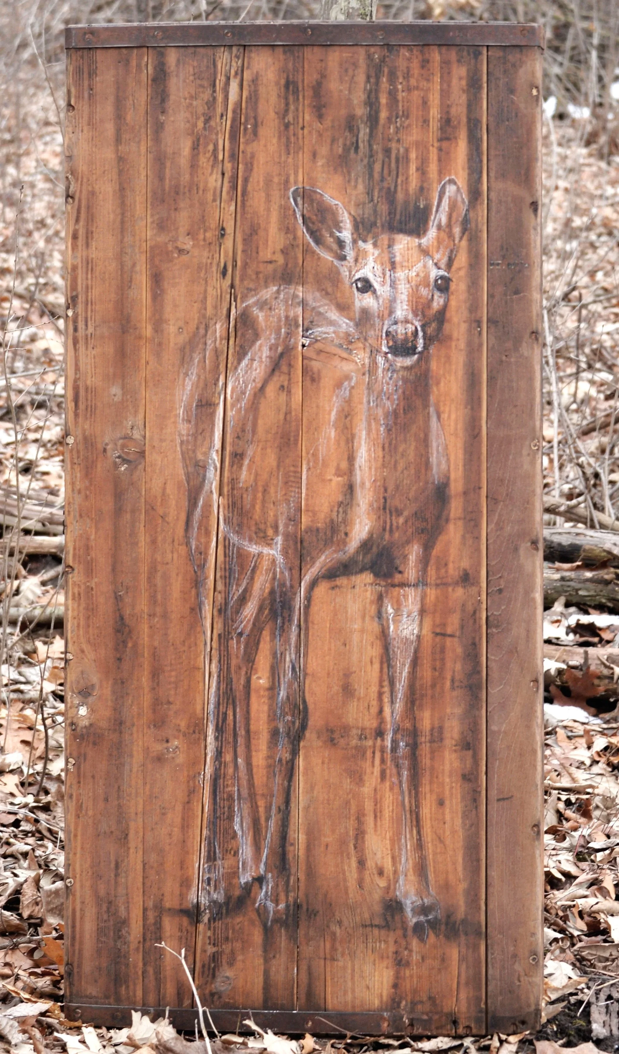 Young+Doe+copy.jpg