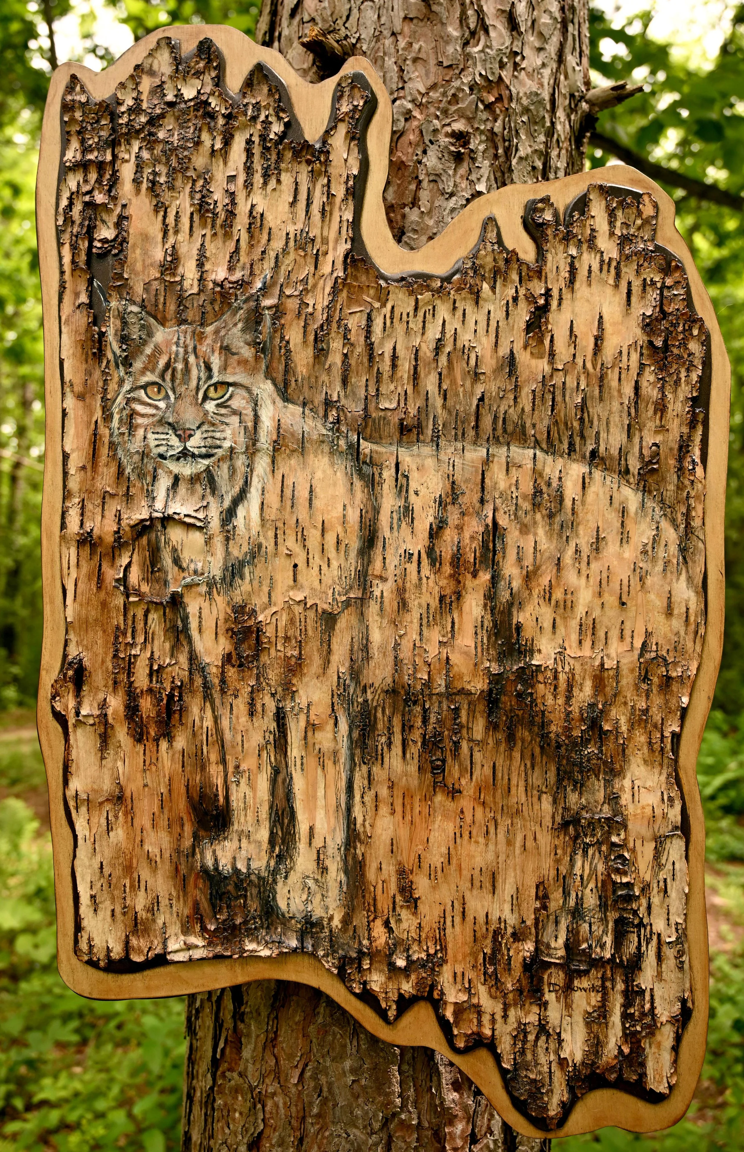Feral Gaze Bobcat.jpg