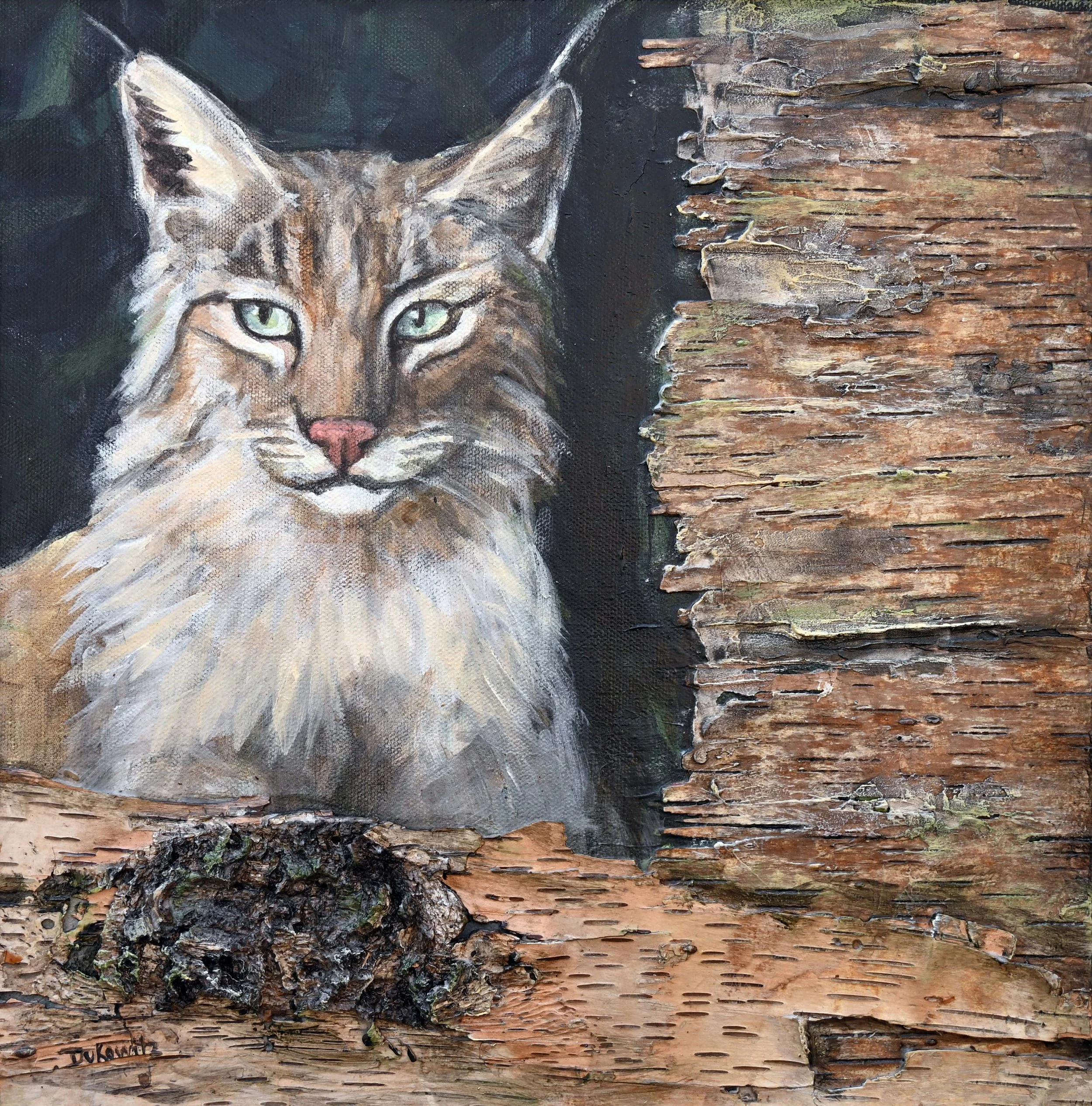 Bobcat withg birch copy.jpg
