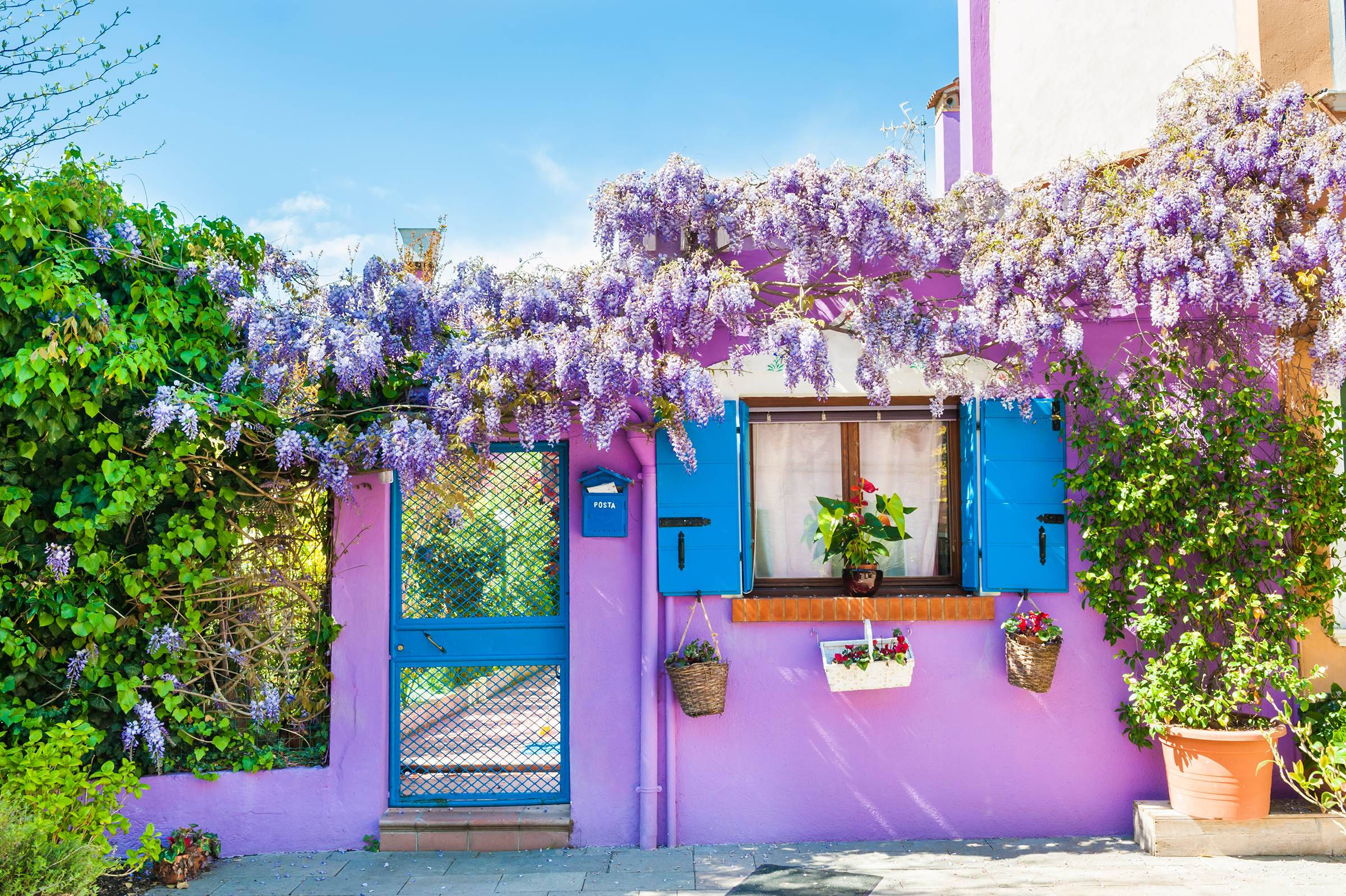 violet-house-flowers-colorful-houses-burano-island-near-venice-italy_2400.png