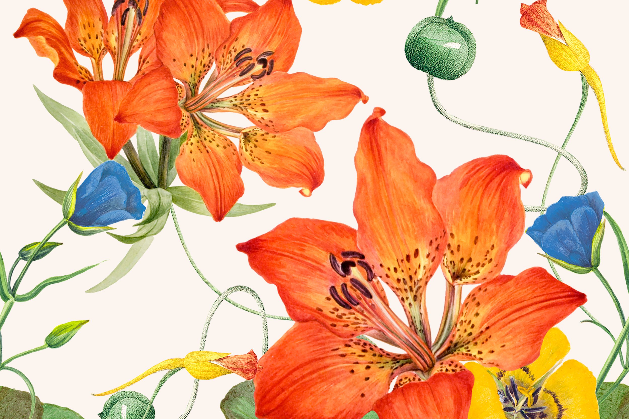 flower-pattern-hand-drawn-background-remixed-from-public-domain-artworks.jpg