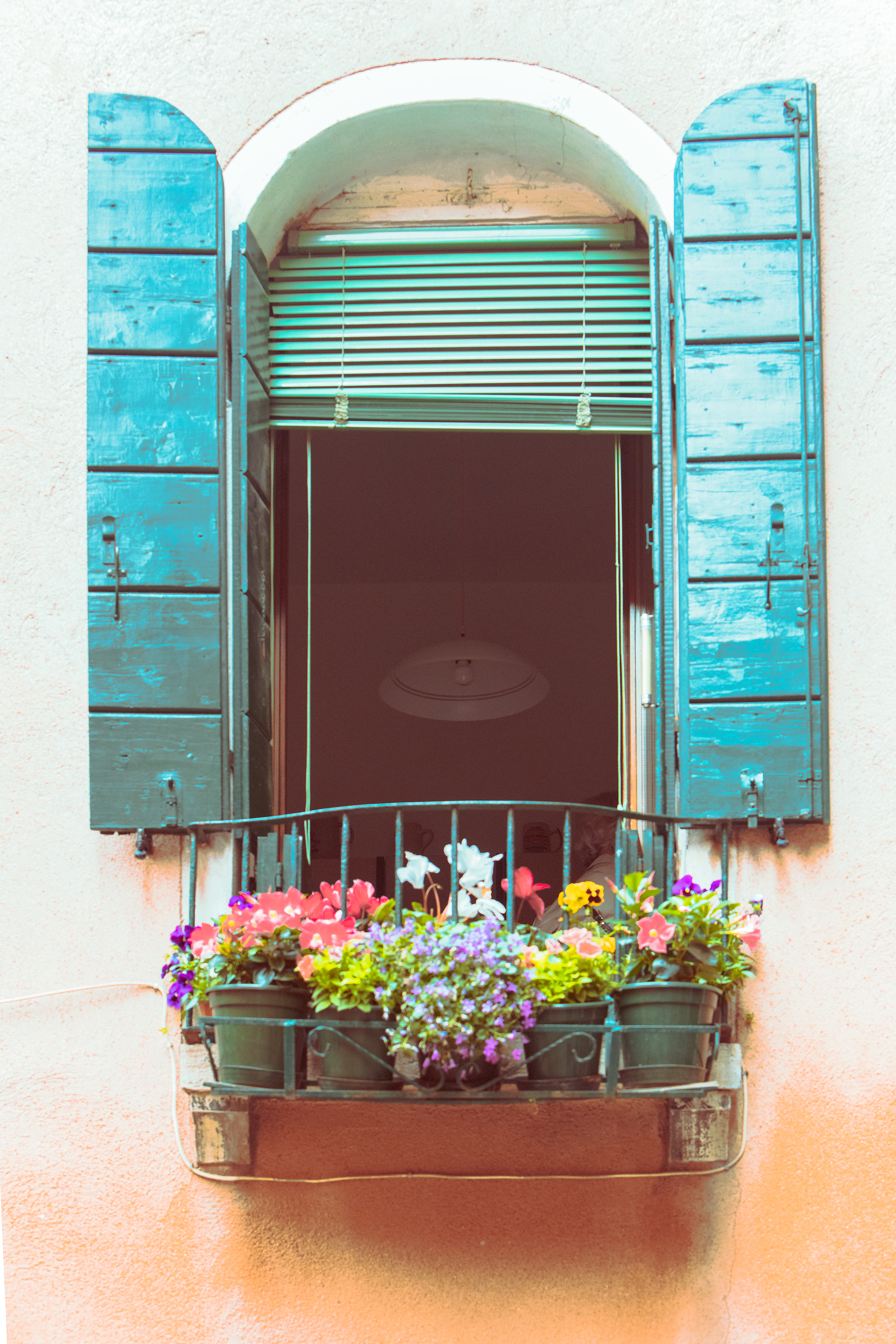 view-window-with-shutters-decoration-plants-pots_2400.png