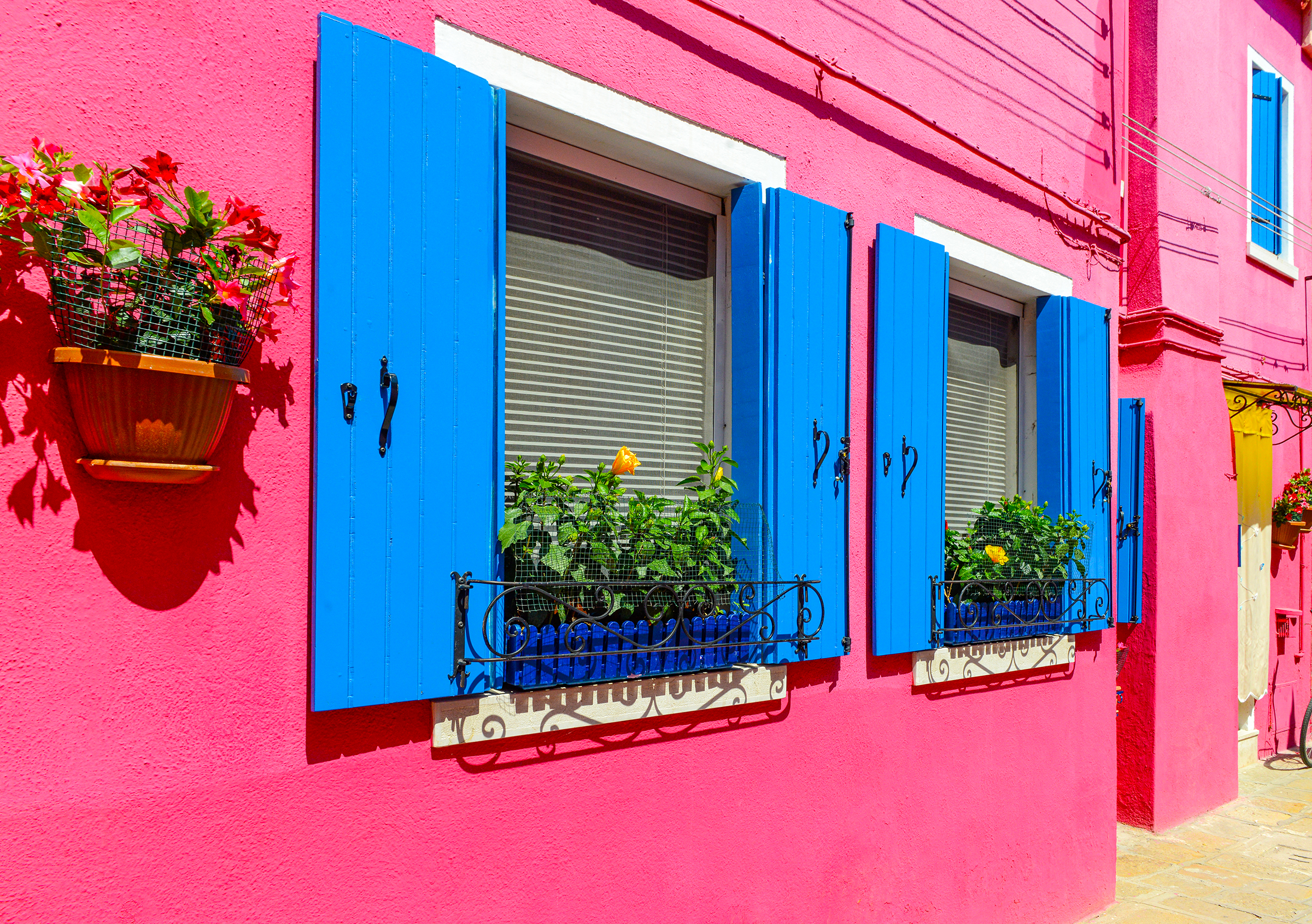 flower-pots-decorate-walls-blue-windows-pink-house_2400.png