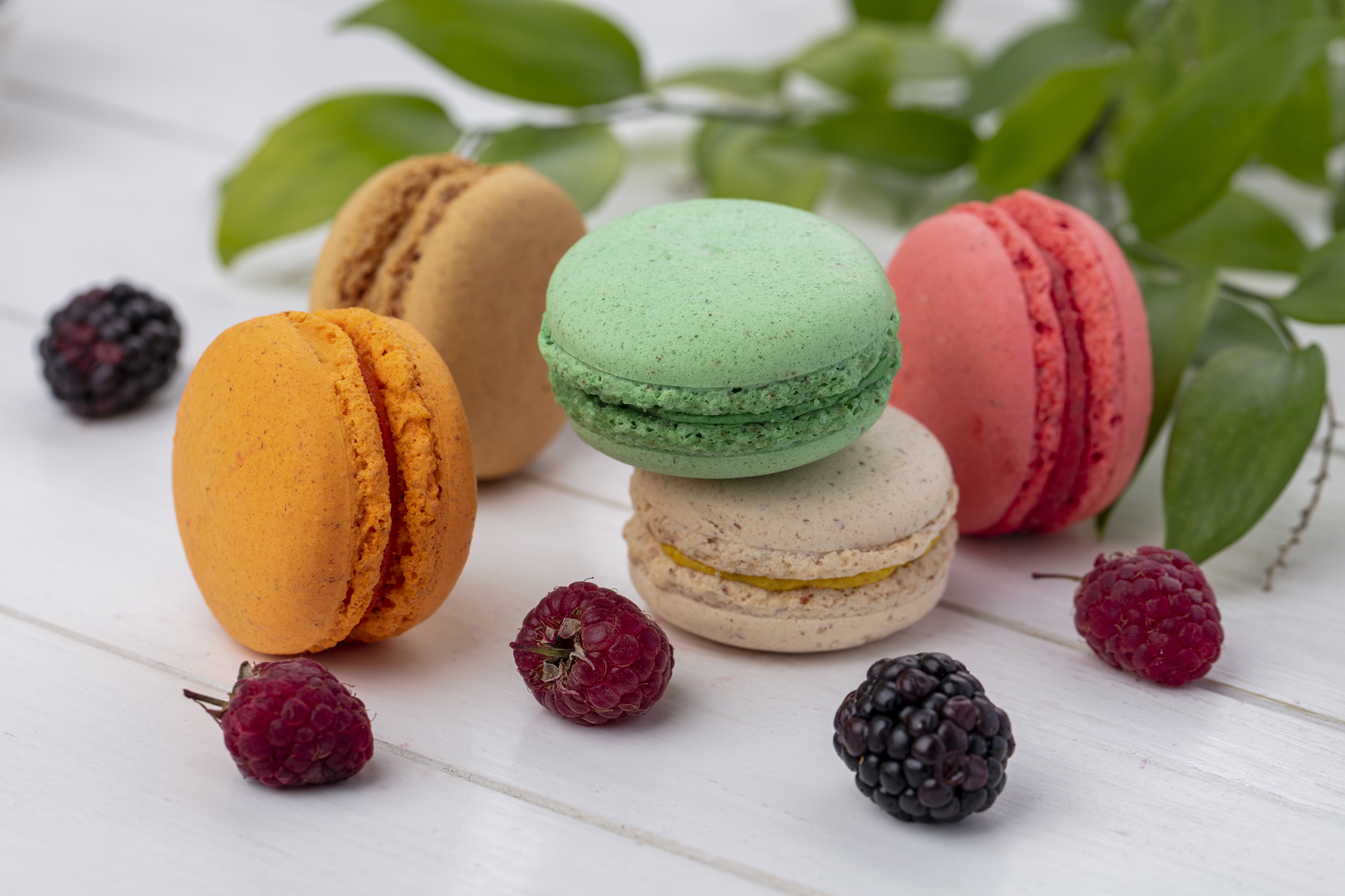 front-view-colored-macarons-with-blackberries-raspberries-white-surface_2400.png