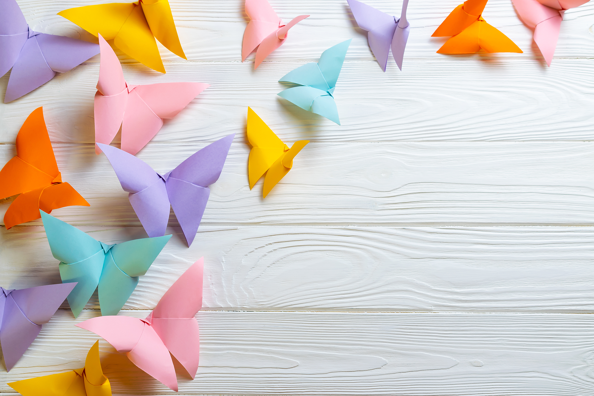 white-wooden-surface-with-bunch-colorful-paper-origami-butterflies-with-copy-space-your-text_2400.png