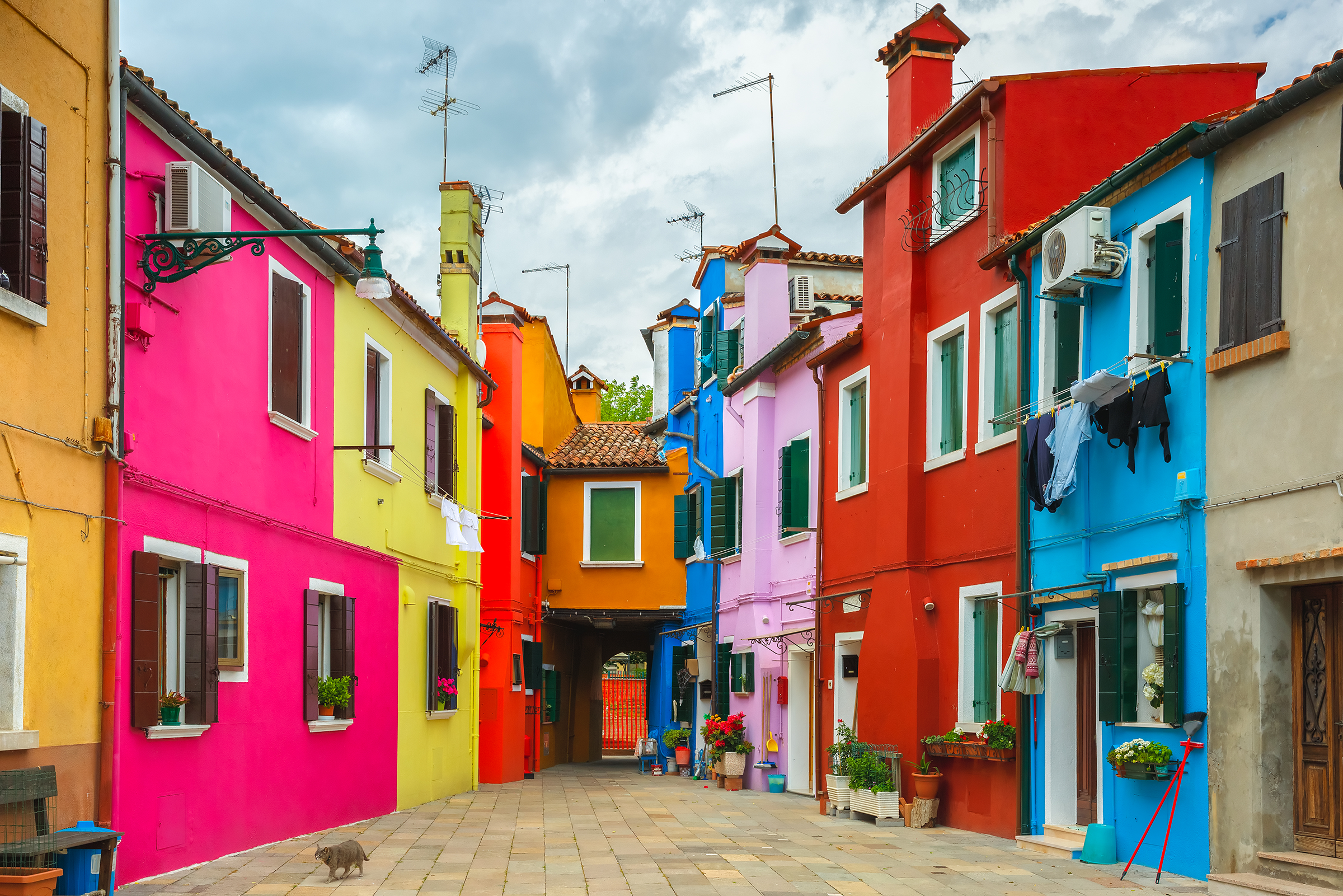 cat-colorful-patio-burano-venice-italy_2400.png