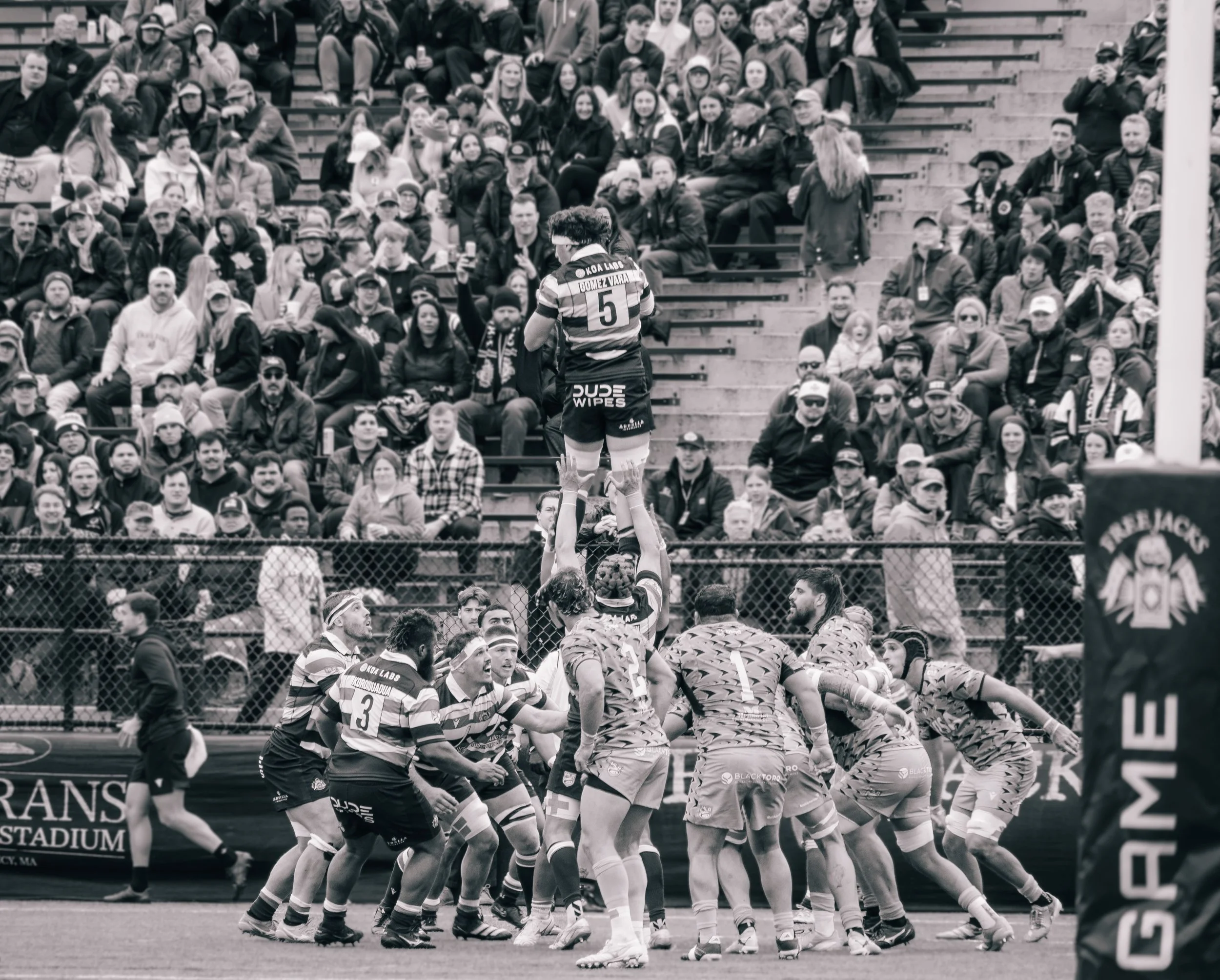 MLR - New England Free Jacks