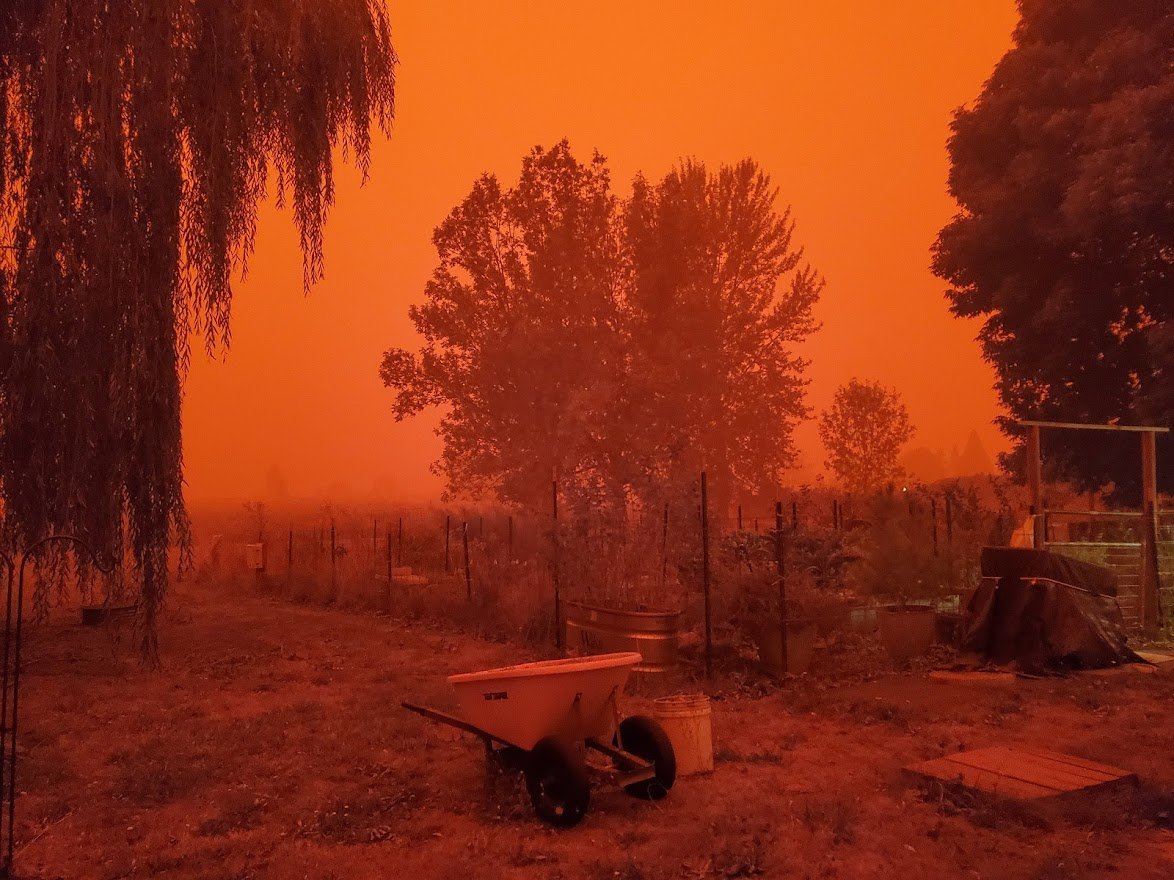 Fire - Day 2L - 20200909_120156.jpg