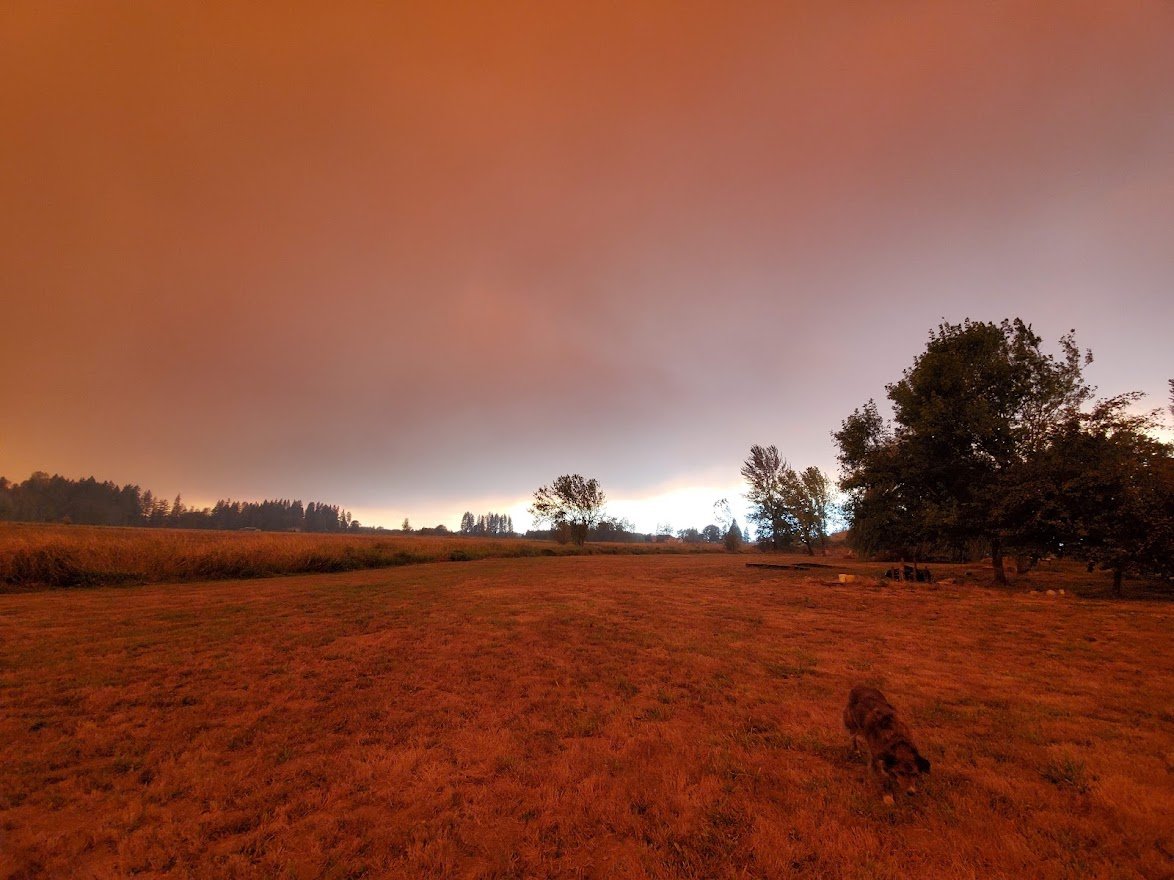 Fire 15 - 20200908_150018.jpg