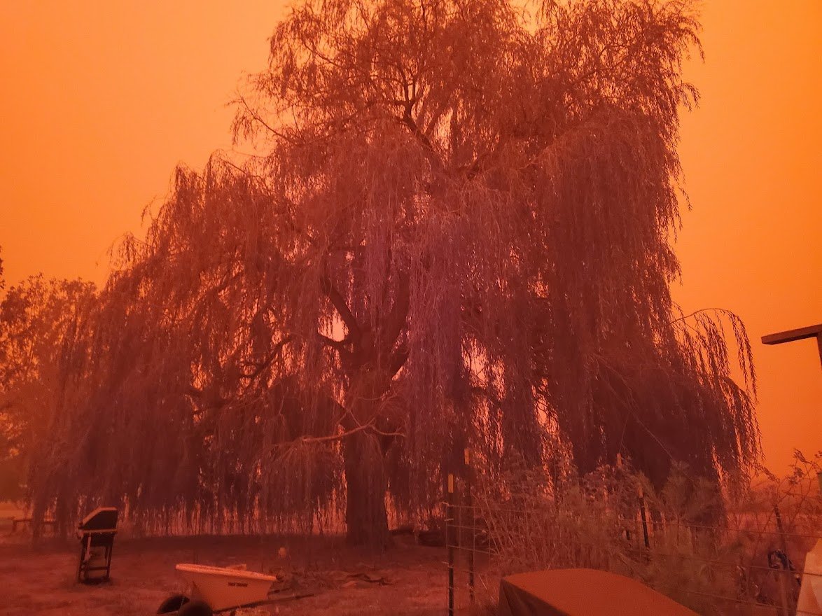 Fire - Day 2K - 20200909_120136.jpg