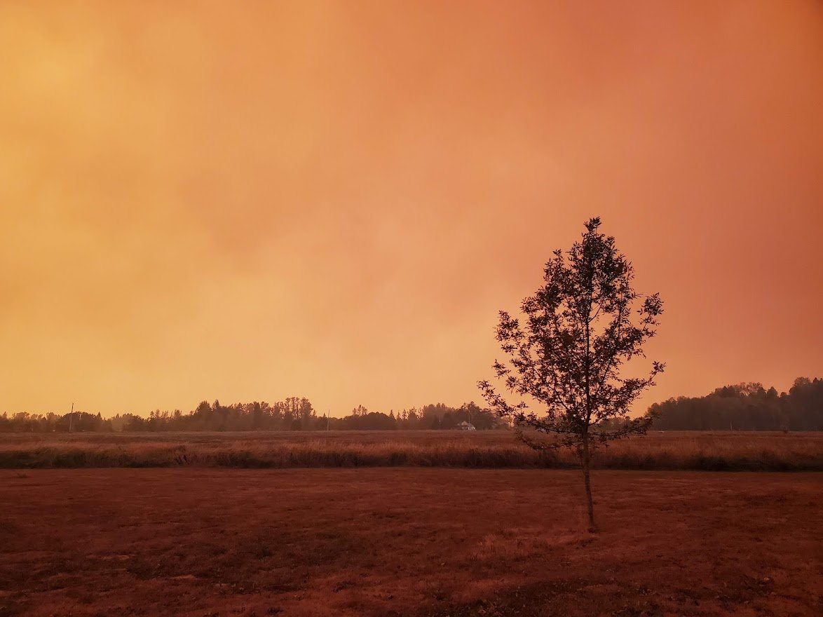 Fire 17 - 20200908_150251.jpg