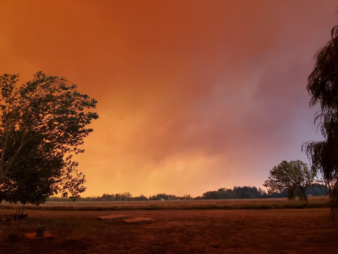 Fire 11 - 20200908_145533.jpg