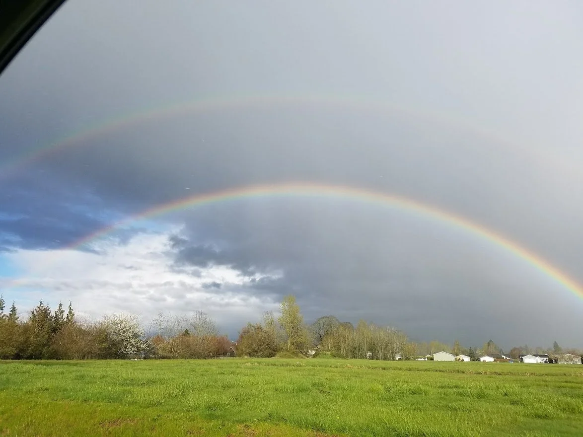Rainbows 10 - 20170408_175115.jpg