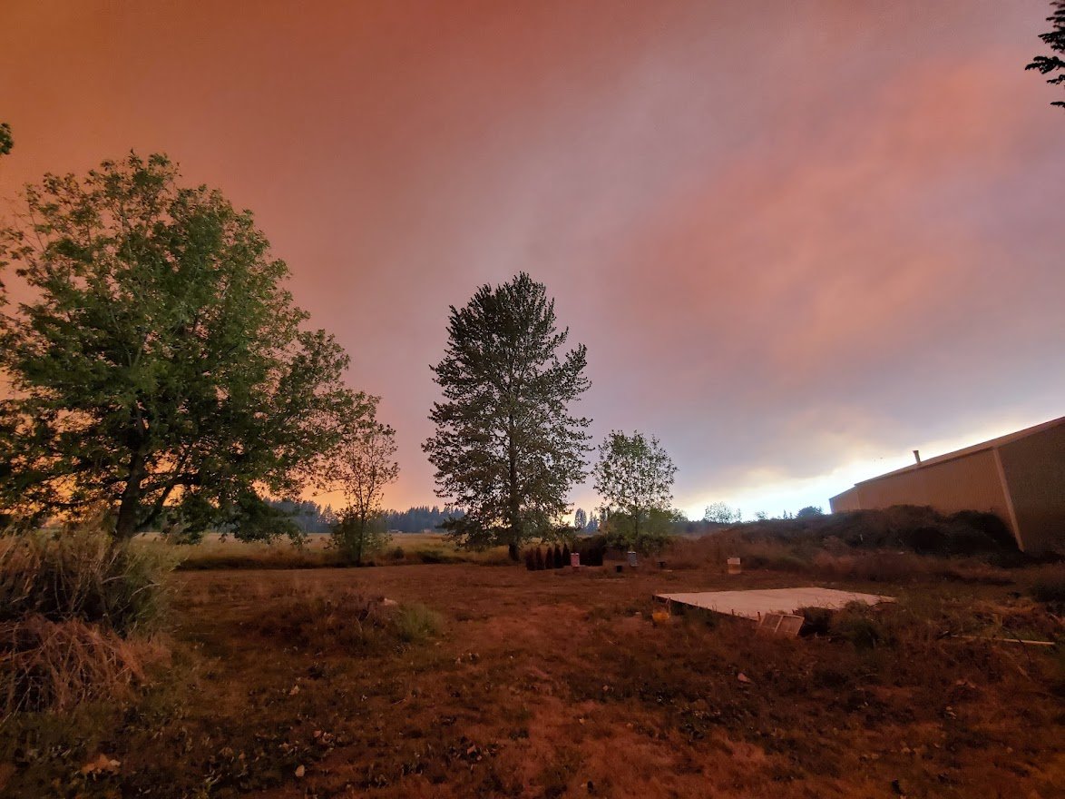 Fire 6 - 20200908_145159.jpg
