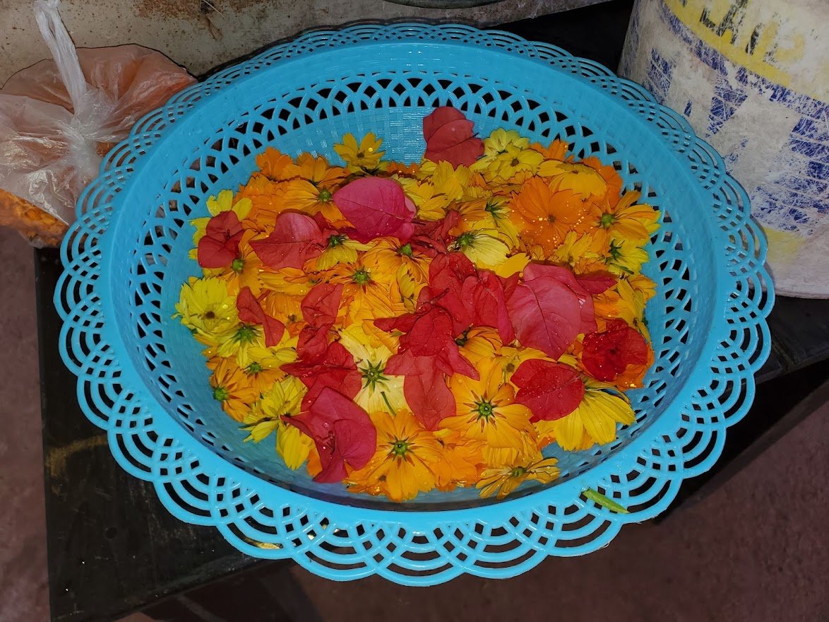 Flowers 2 - 20191211_131459.jpg