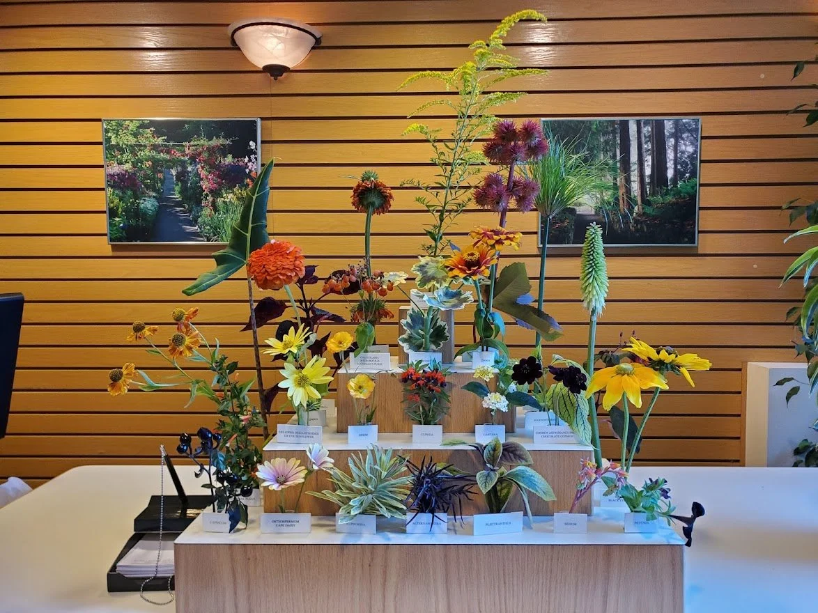 Flowers 22 - 20190906_160116.jpg