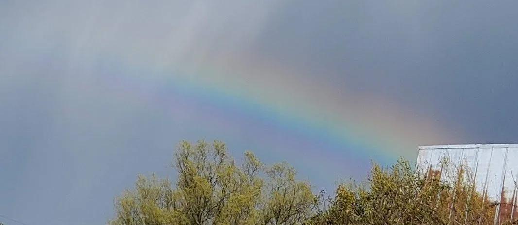 Rainbows 26 - 20200402_162846 (2).jpg