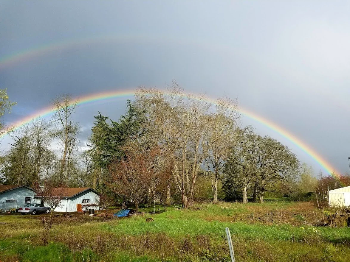 Rainbows 13 - 20170408_175049.jpg
