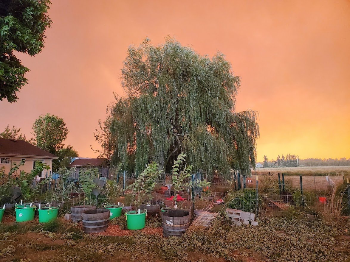 Fire 7 - 20200908_145218.jpg