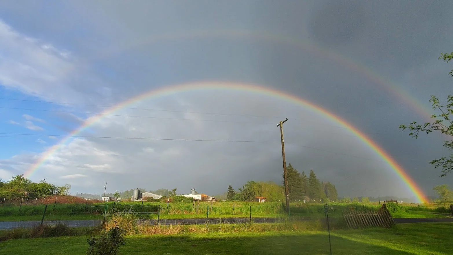 Rainbows 20220519_191139.jpg