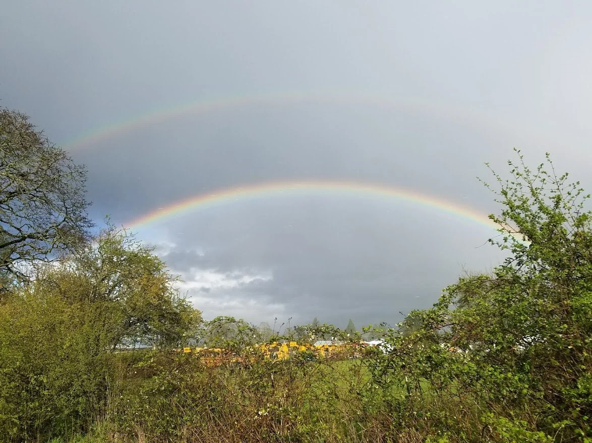 Rainbows 12 - 20170408_175102.jpg