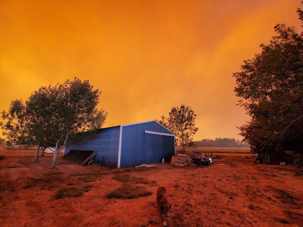 Fire 19 - 20200908_150556.jpg