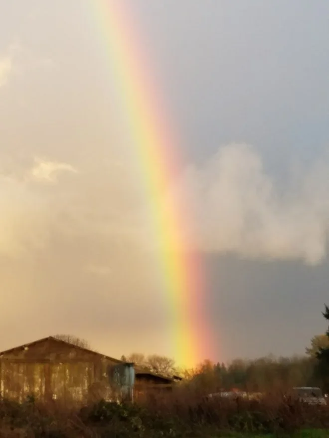 Rainbows 14 - 20161115_162155.jpg