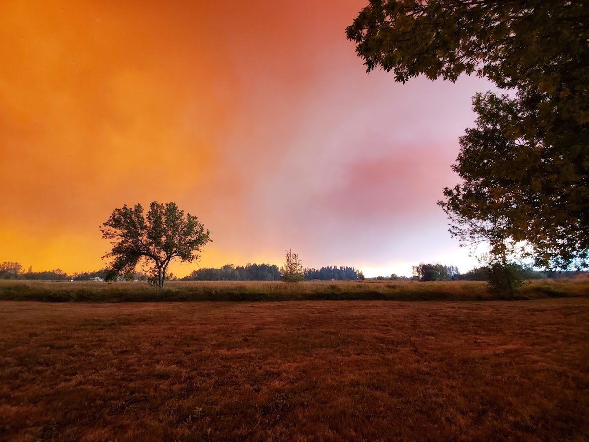 Fire 9 - 20200908_145254.jpg