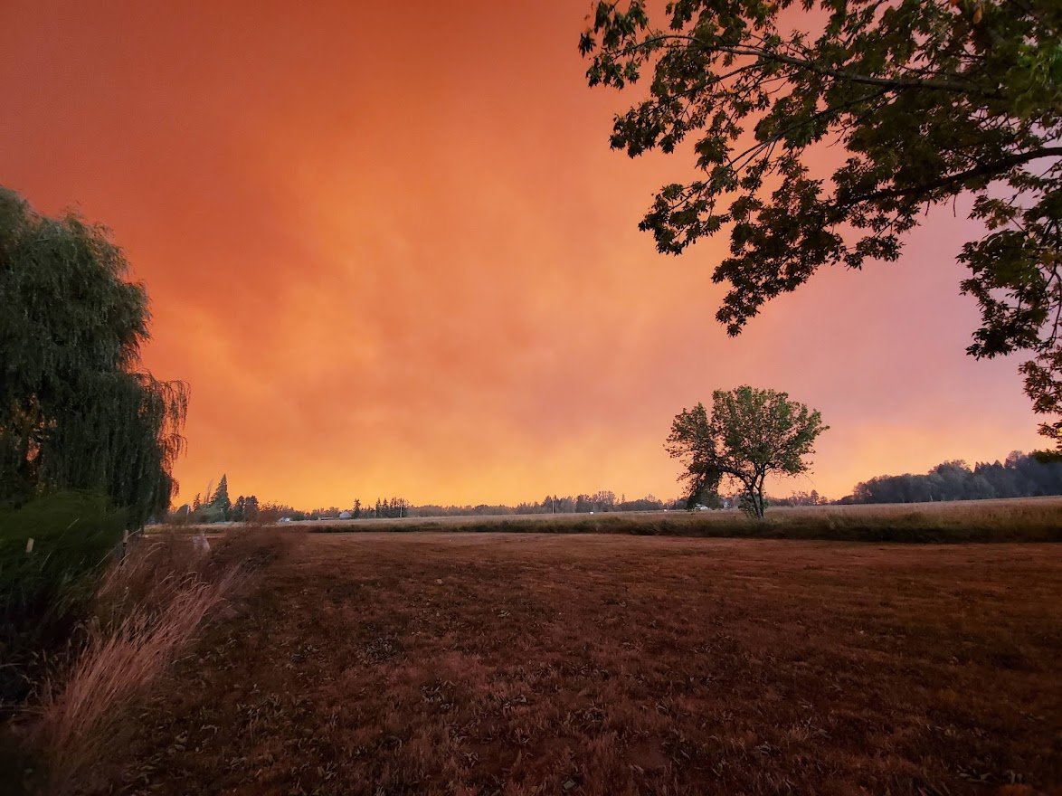 Fire 8 - 20200908_145236.jpg