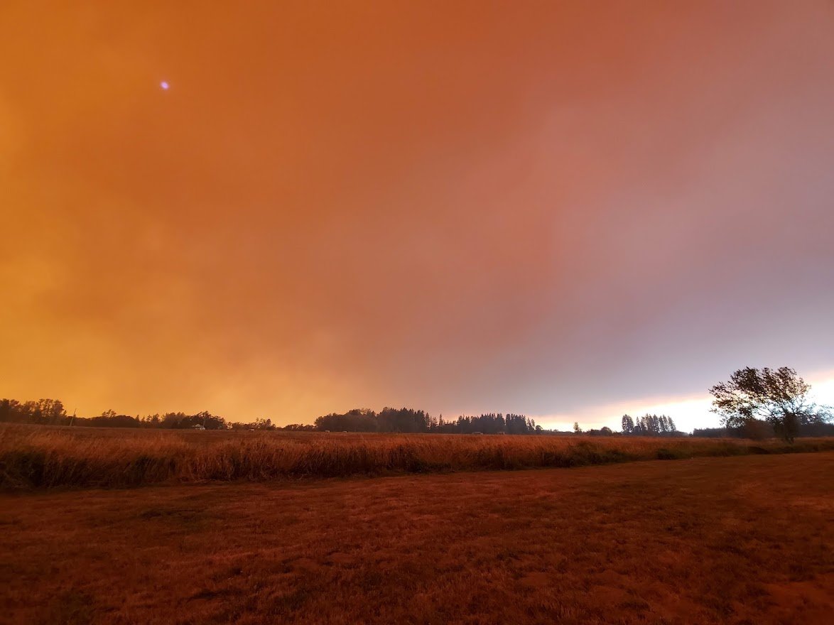 Fire 14 - 20200908_145945.jpg