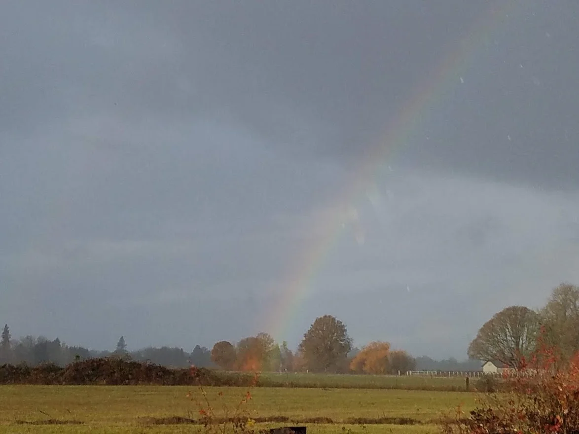 Rainbows 7 - 20181127_092641.jpg